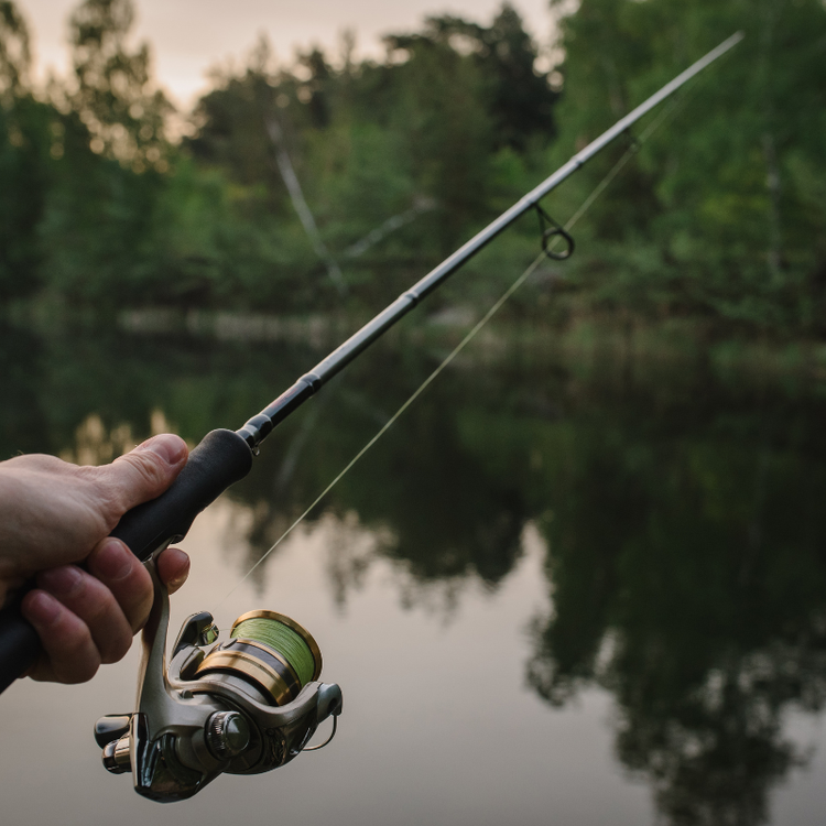 Best Fishing Rod Holders for Pontoons, Docks and Boats