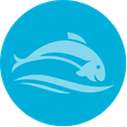 Fishing Accessories